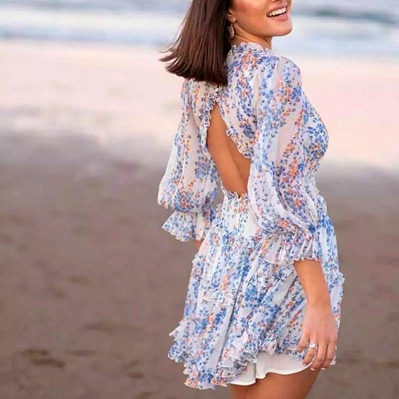 DANI•thegirl Dresses & Skirts - Floral Chiffon Open Back Cutout Ruffle Trim Semi-Sheer Long Sleeve Dress